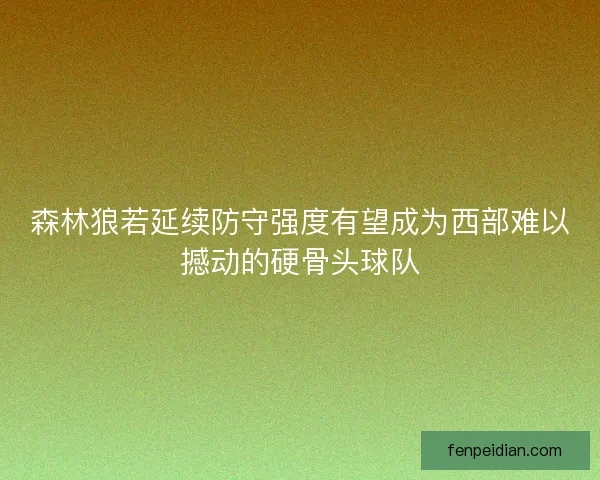 森林狼若延续防守强度有望成为西部难以撼动的硬骨头球队