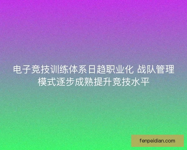 电子竞技训练体系日趋职业化 战队管理模式逐步成熟提升竞技水平