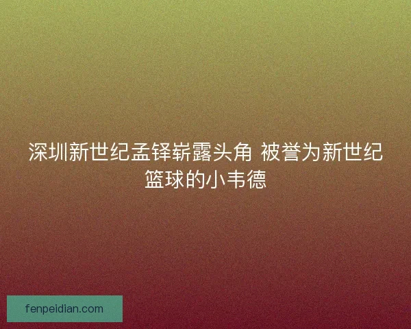 深圳新世纪孟铎崭露头角 被誉为新世纪篮球的小韦德